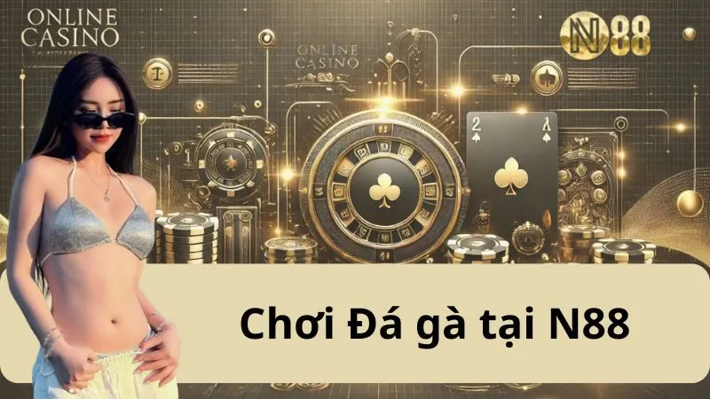 Đá Gà Tại N88: Trải Nghiệm Thú Vị Cùng Những Chiến Kê